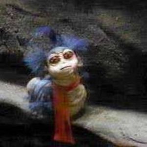 Meet your Posher, Danelle